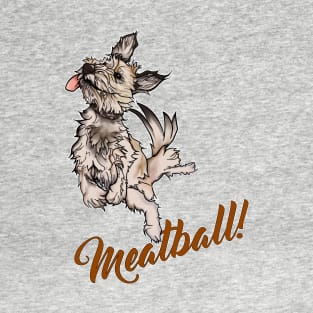 Meatball! T-Shirt